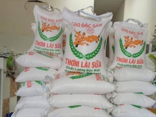 Gạo lài sữa đặc biệt 